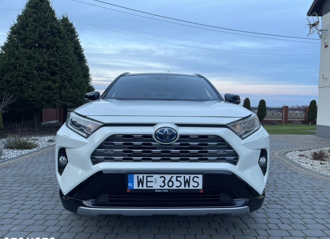 Toyota RAV4 cena 144900 przebieg: 84000, rok produkcji 2019 z Pajęczno małe 704